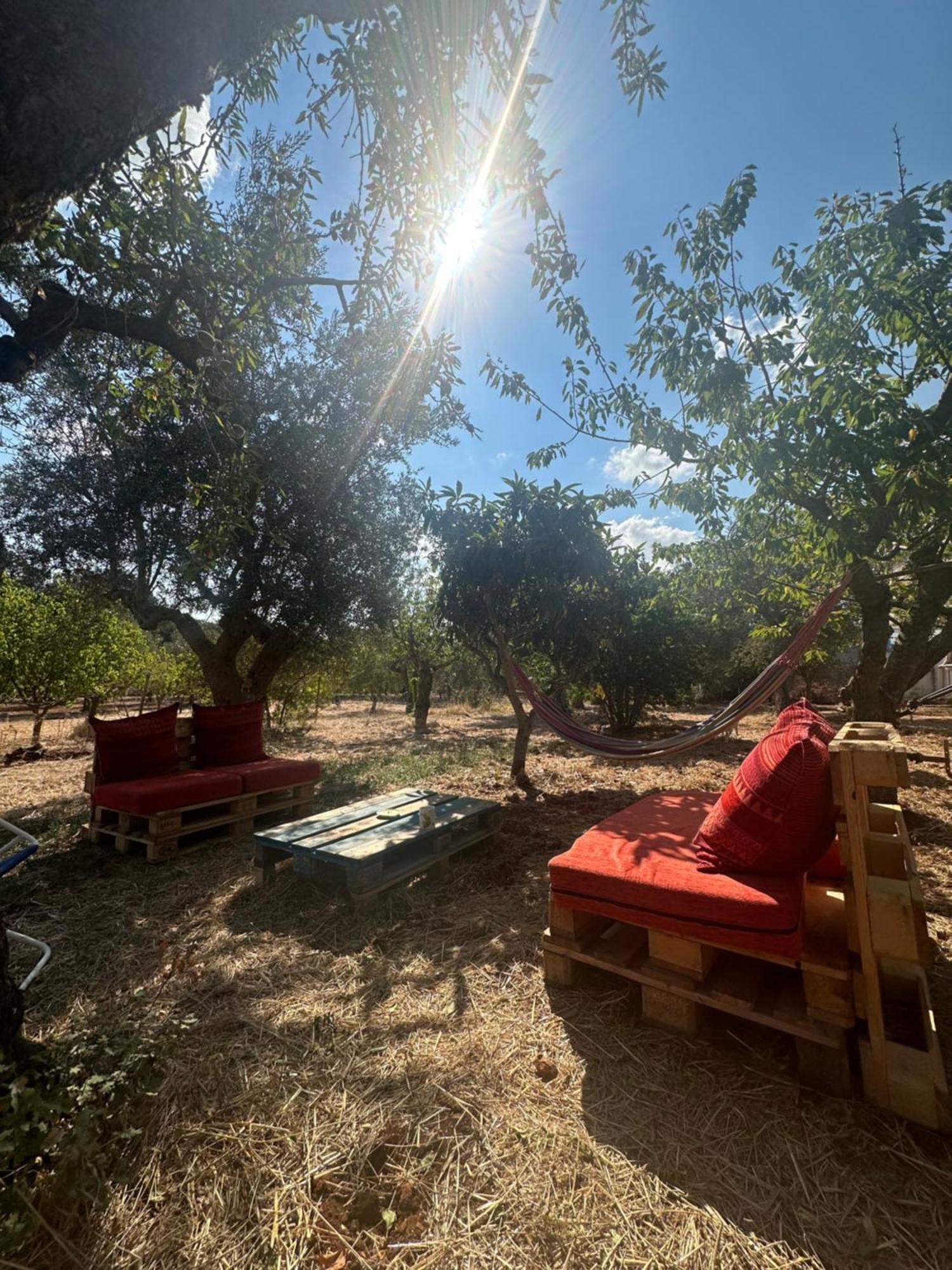 مونوبولي B&B Villa Tiziana المظهر الخارجي الصورة