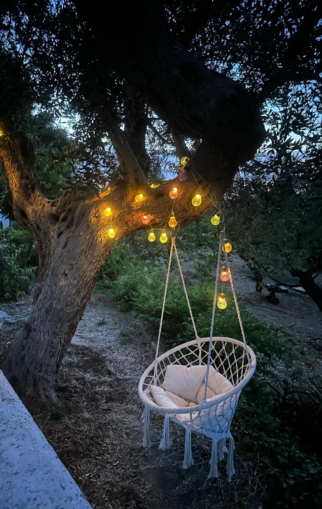 مونوبولي B&B Villa Tiziana المظهر الخارجي الصورة
